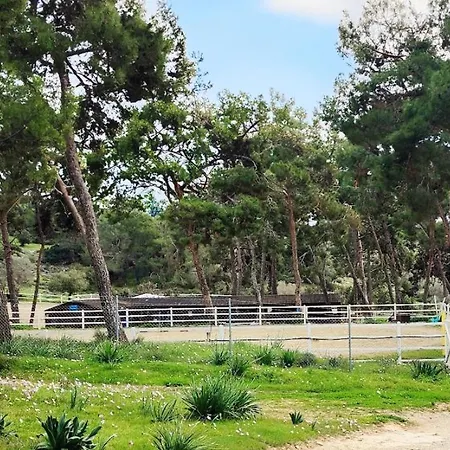 Aphrodite Hills 3 Bedroom With Bbq, Patio & View * クークリア