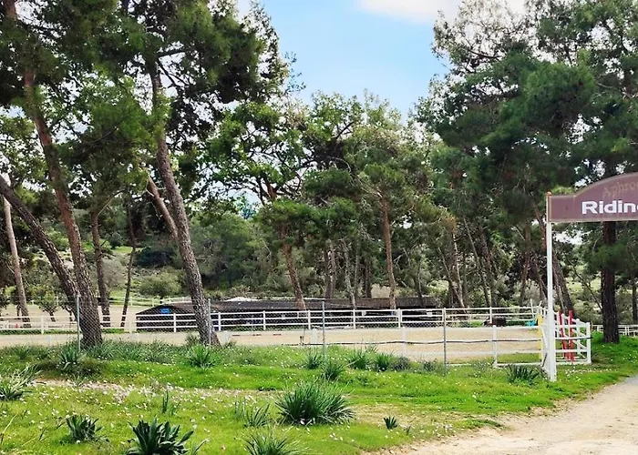 Aphrodite Hills 3 Bedroom With Bbq, Patio & View * クークリア